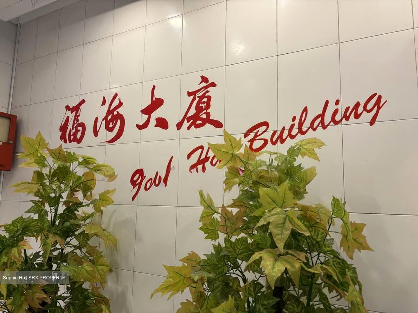 Fook Hai Building (D1), Office #532423561